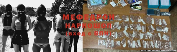 сатива Козельск