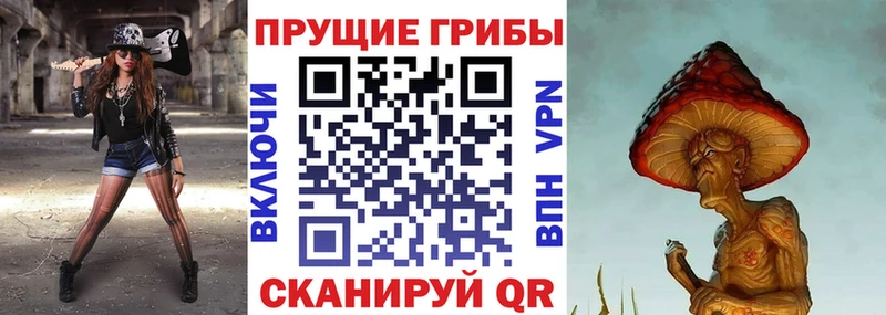 Псилоцибиновые грибы Psilocybe  blacksprut рабочий сайт  Курск 